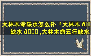 大林木命缺水怎么补「大林木 🌾 缺水 🐈 ,大林木命五行缺水怎么办」